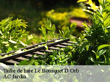 Taille de haie  le-bousquet-d-orb-34260 AC Jardin