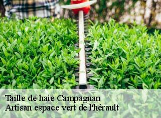 Taille de haie  campagnan-34230 Artisan espace vert de l'hérault 