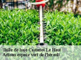 Taille de haie  castanet-le-haut-34610 Artisan espace vert de l'hérault 