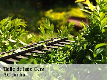 Taille de haie  cers-34420 AC Jardin