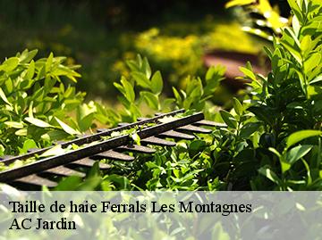 Taille de haie  ferrals-les-montagnes-34210 AC Jardin