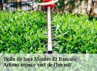 Taille de haie  moules-et-baucels-34190 Artisan espace vert de l'hérault 