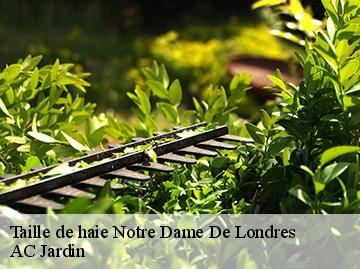 Taille de haie  notre-dame-de-londres-34380 AC Jardin