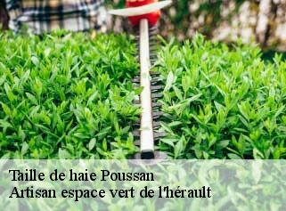 Taille de haie  poussan-34560 Artisan espace vert de l'hérault 