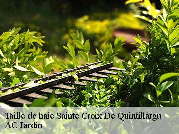 Taille de haie  sainte-croix-de-quintillargu-34270 AC Jardin