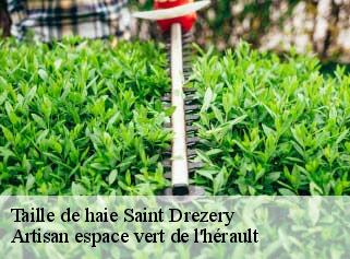 Taille de haie  saint-drezery-34160 Artisan espace vert de l'hérault 