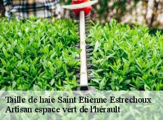 Taille de haie  saint-etienne-estrechoux-34260 Artisan espace vert de l'hérault 