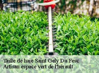 Taille de haie  saint-gely-du-fesc-34980 Artisan espace vert de l'hérault 