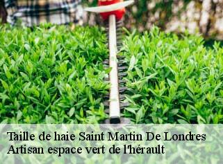 Taille de haie  saint-martin-de-londres-34380 Artisan espace vert de l'hérault 