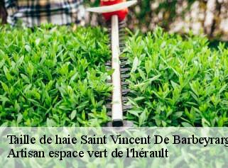 Taille de haie  saint-vincent-de-barbeyrargu-34730 Artisan espace vert de l'hérault 