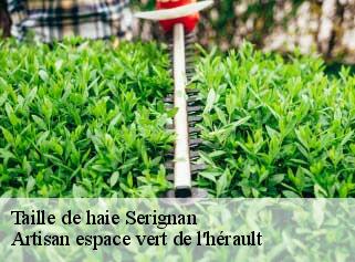 Taille de haie  serignan-34410 Artisan espace vert de l'hérault 