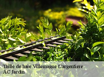 Taille de haie  villemagne-l-argentiere-34600 AC Jardin