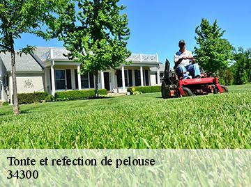 Tonte et refection de pelouse  34300