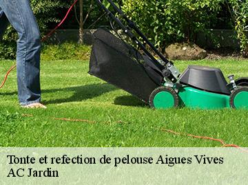 Tonte et refection de pelouse  aigues-vives-34210 AC Jardin