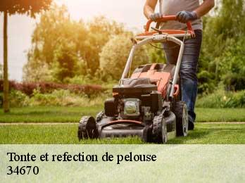 Tonte et refection de pelouse  34670