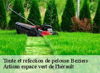 Tonte et refection de pelouse  beziers-34500 Artisan espace vert de l'hérault 