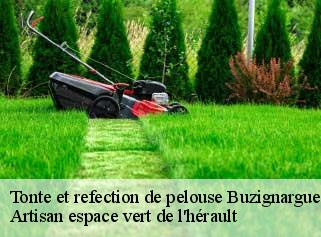 Tonte et refection de pelouse  buzignargues-34160 Artisan espace vert de l'hérault 
