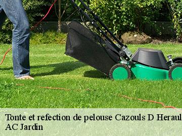 Tonte et refection de pelouse  cazouls-d-herault-34120 AC Jardin