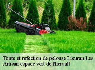 Tonte et refection de pelouse  lieuran-les-beziers-34290 Artisan espace vert de l'hérault 