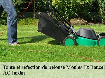 Tonte et refection de pelouse  moules-et-baucels-34190 AC Jardin