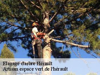 Elagage d'arbre 34 Hérault  Artisan espace vert de l'hérault 