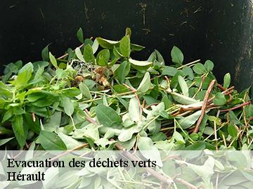 Evacuation des déchets verts Hérault 