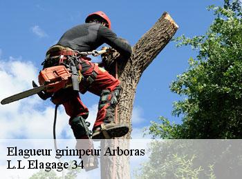 Elagueur grimpeur  arboras-34150 L.L Elagage 34 