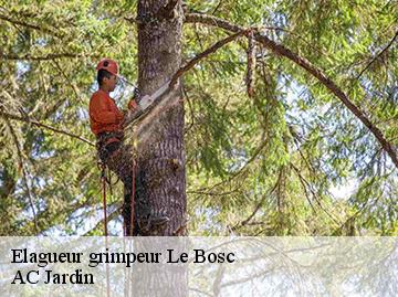 Elagueur grimpeur  le-bosc-34700 AC Jardin