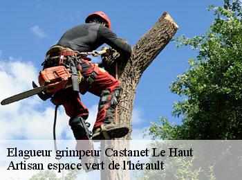 Elagueur grimpeur  castanet-le-haut-34610 Artisan espace vert de l'hérault 