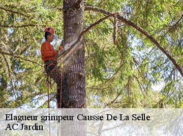 Elagueur grimpeur  causse-de-la-selle-34380 AC Jardin