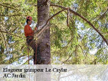 Elagueur grimpeur  le-caylar-34520 AC Jardin