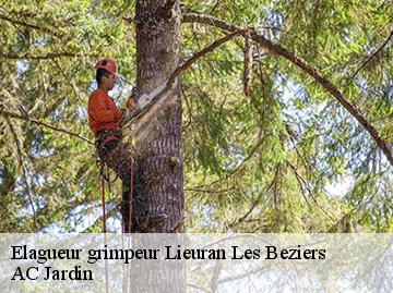 Elagueur grimpeur  lieuran-les-beziers-34290 AC Jardin