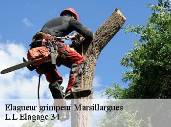Elagueur grimpeur  marsillargues-34590 L.L Elagage 34 