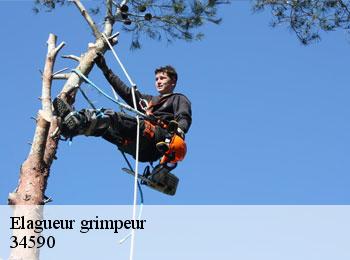 Elagueur grimpeur  34590