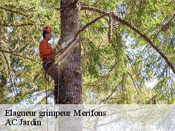 Elagueur grimpeur  merifons-34800 AC Jardin