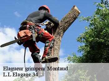 Elagueur grimpeur  montaud-34160 L.L Elagage 34 