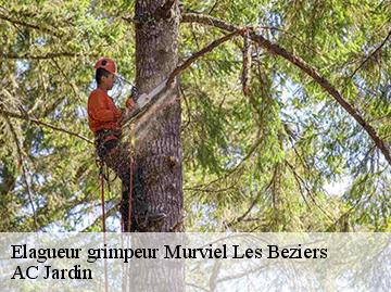 Elagueur grimpeur  murviel-les-beziers-34490 AC Jardin