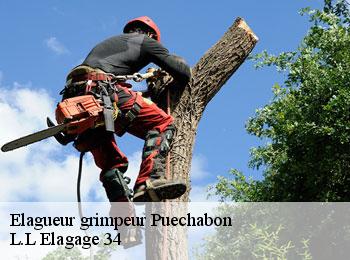 Elagueur grimpeur  puechabon-34150 L.L Elagage 34 
