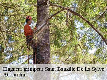 Elagueur grimpeur  saint-bauzille-de-la-sylve-34230 AC Jardin