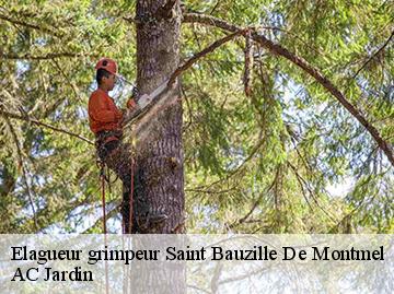 Elagueur grimpeur  saint-bauzille-de-montmel-34160 AC Jardin