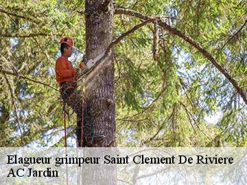 Elagueur grimpeur  saint-clement-de-riviere-34980 AC Jardin