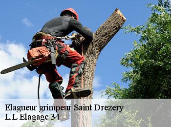 Elagueur grimpeur  saint-drezery-34160 L.L Elagage 34 