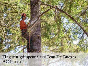 Elagueur grimpeur  saint-jean-de-bueges-34380 AC Jardin