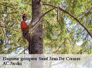 Elagueur grimpeur  saint-jean-de-cornies-34160 AC Jardin