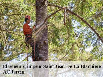 Elagueur grimpeur  saint-jean-de-la-blaquiere-34700 AC Jardin