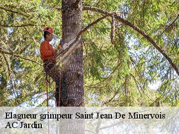 Elagueur grimpeur  saint-jean-de-minervois-34360 AC Jardin