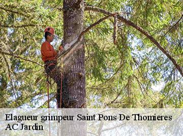 Elagueur grimpeur  saint-pons-de-thomieres-34220 AC Jardin