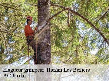 Elagueur grimpeur  thezan-les-beziers-34490 AC Jardin