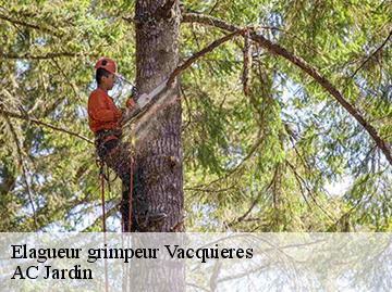 Elagueur grimpeur  vacquieres-34270 AC Jardin