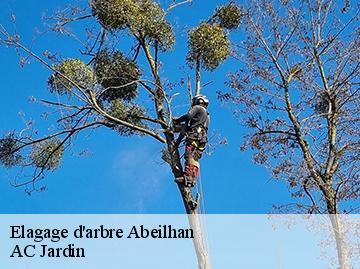 Elagage d'arbre  abeilhan-34290 AC Jardin